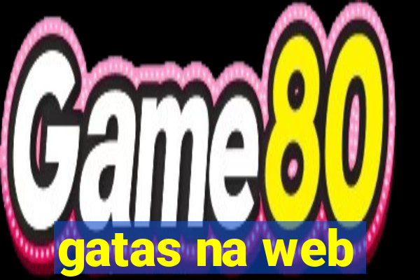 gatas na web